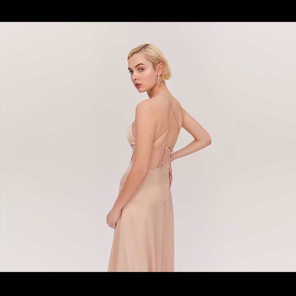 Fame and Partners Champagne Ada Dress NWT
